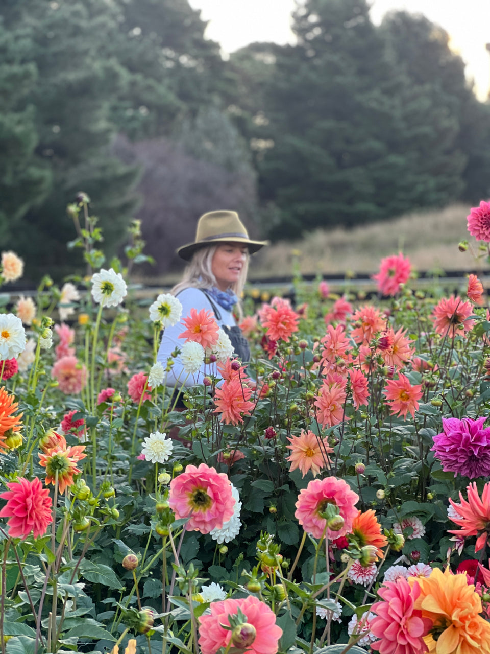 The Flowering Field